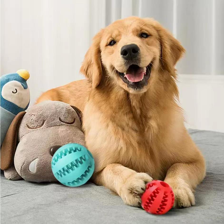 Tug & Treat Dog Toy – Durable Rope & Rubber Ball with Treat Holder