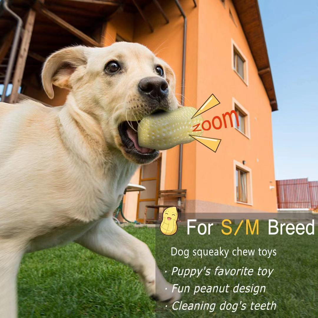 🥜 Peanut Pals – Squeaky Chew Toy